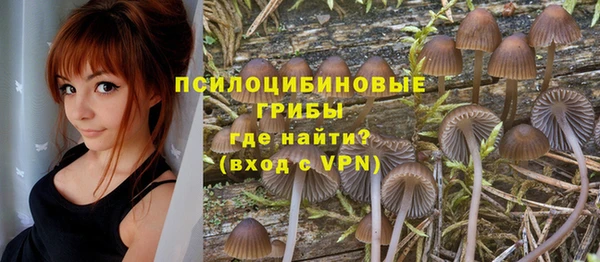 бошки Абинск