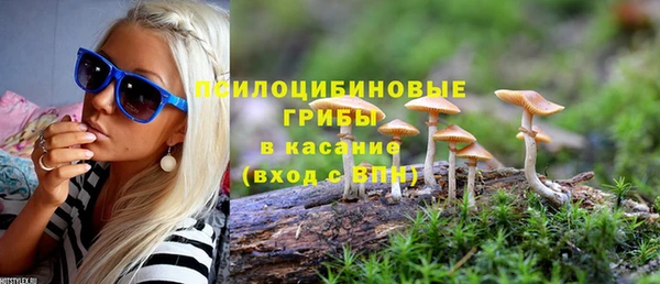 ГАЛЛЮЦИНОГЕННЫЕ ГРИБЫ Нефтекумск